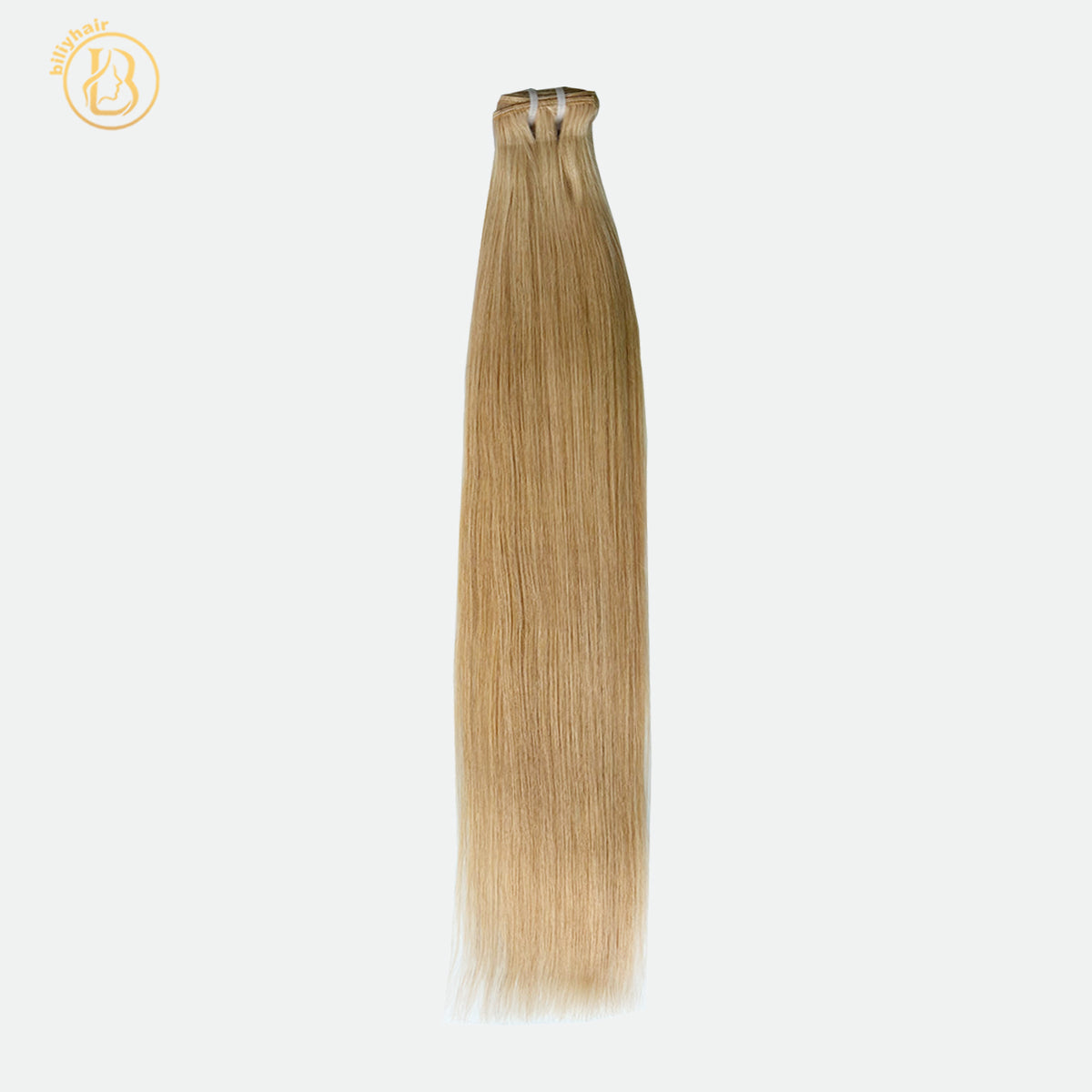 Colorful Hair #27  Stright Wave 1 Bundles